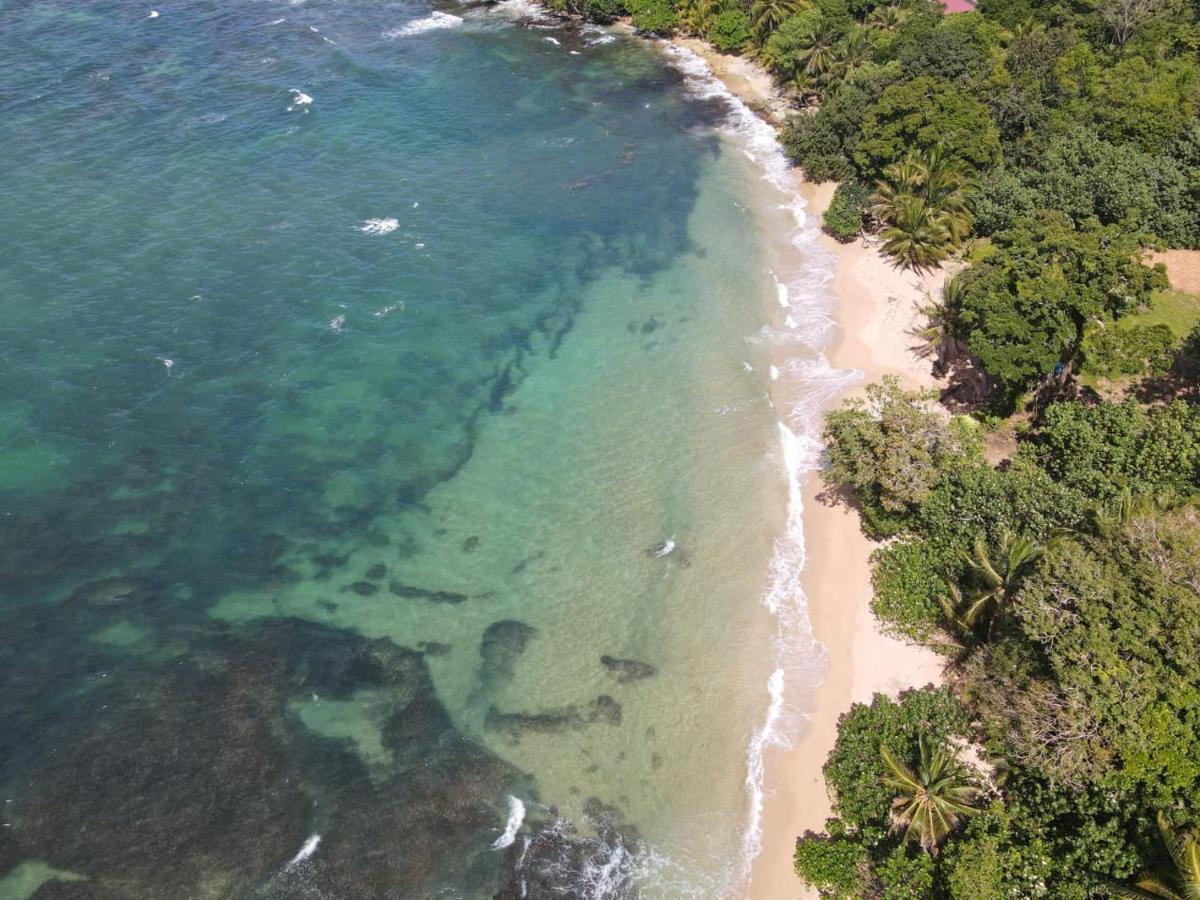 בוקס דל טורו Bird Island Bungalows מראה חיצוני תמונה